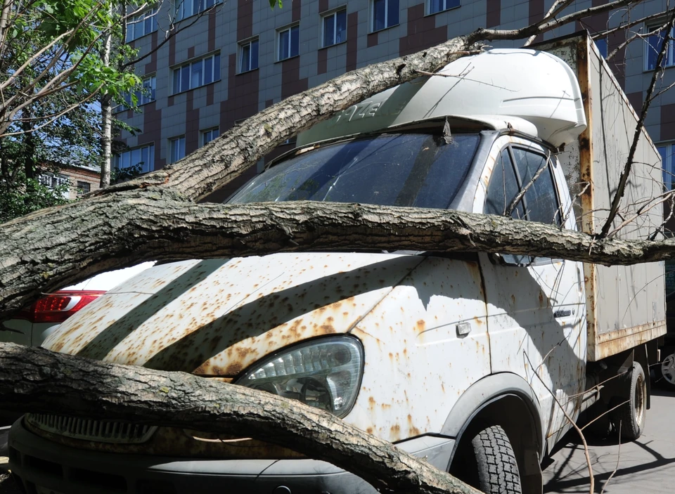 Фото из архива КП