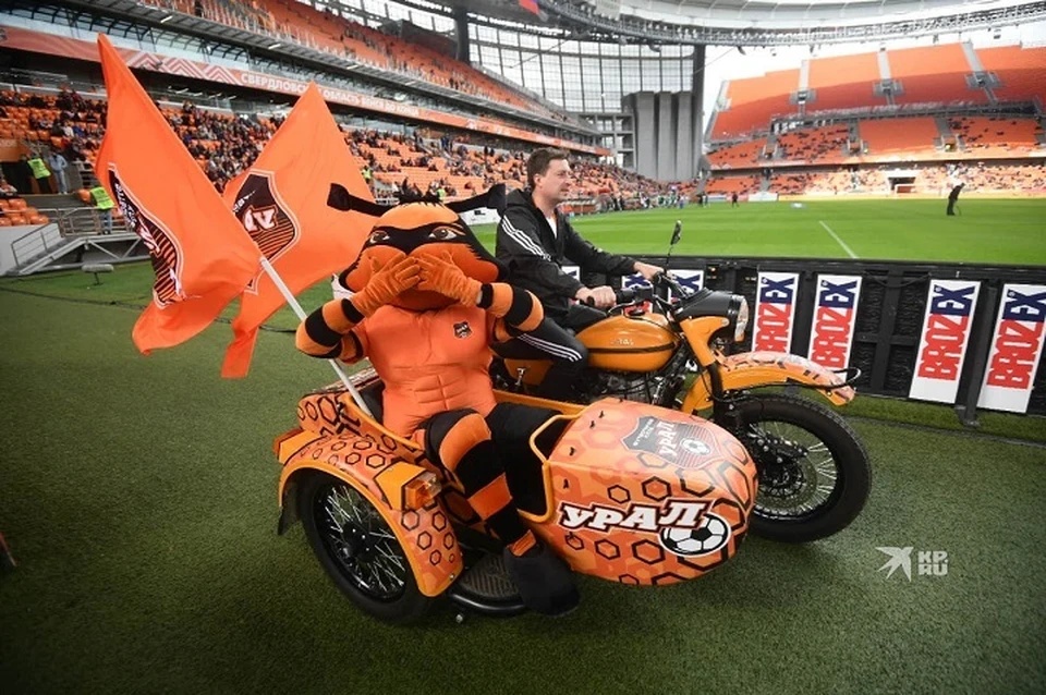 Пятьдесят процентов акций футбольного клуба будут продавать на аукционе