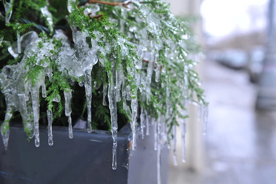 В Новосибирской области вторая декада октября вошла в топ самых холодных в истории.