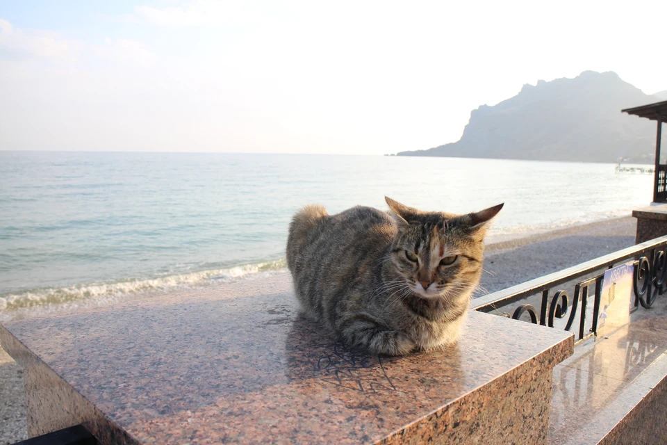 Октябрь в Крыму