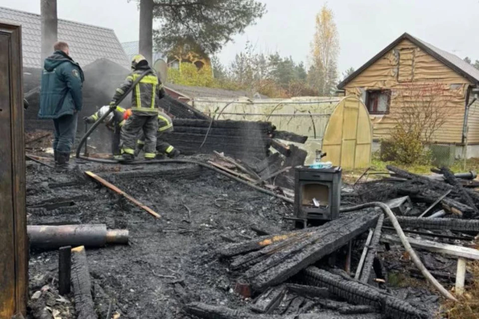 Дом сгорел дотла. Фото: ГУ МВД России по Санкт-Петербургу и Ленинградской области.