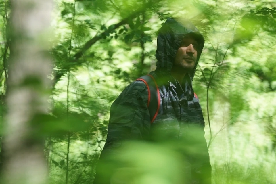 Все живы и уже дома