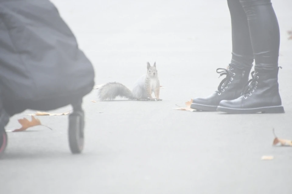 В понедельник будет минусовая температура