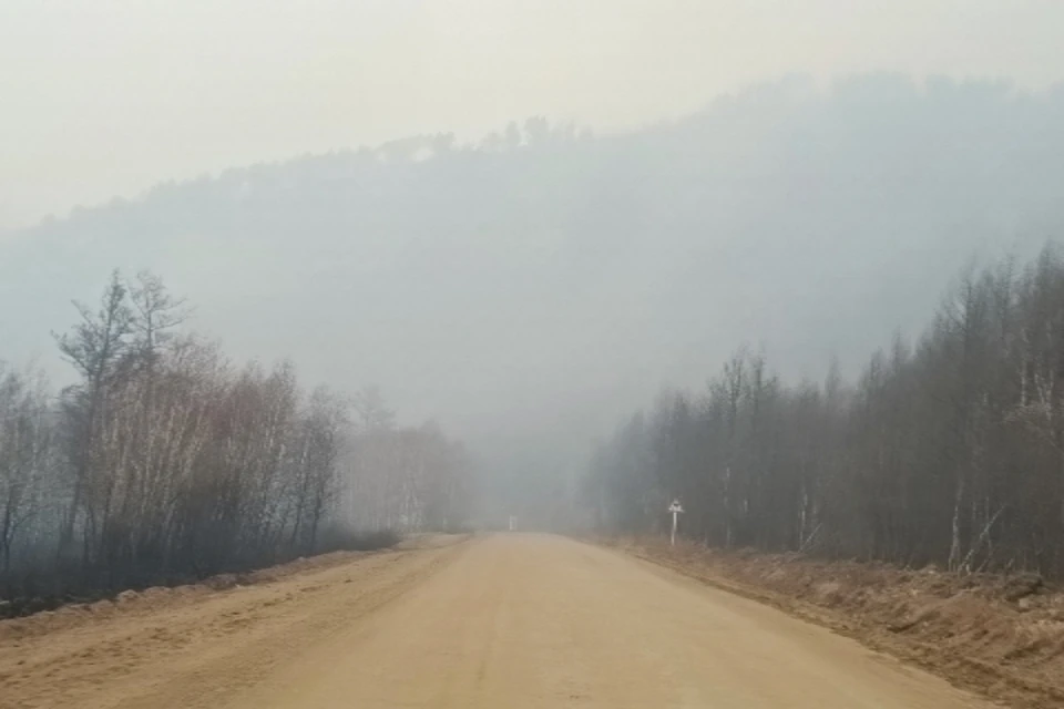В Зиминском районе вдоль трассы горят поля