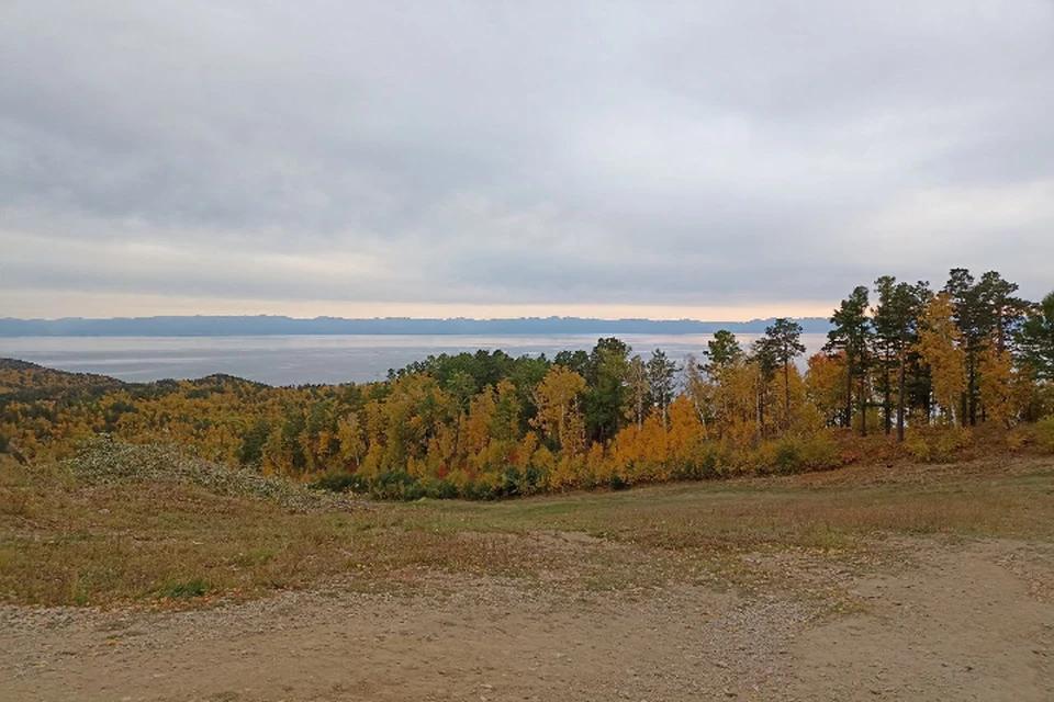 +6 градусов обещают в Иркутске 27 октября. Фото: Наталья ЛИТАСОВА