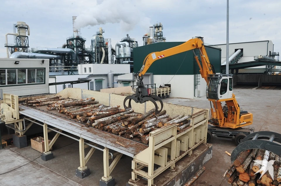 Новое деревообрабатывающее предприятие построят к 2027 году