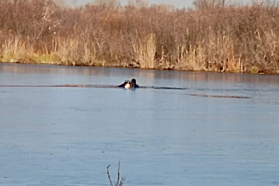 Водолазы искали утонувших