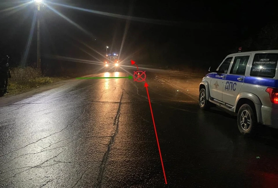 Фото: Госавтоинспекция Коми