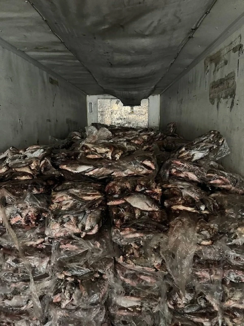 Фото: УМВД России по Астраханской области