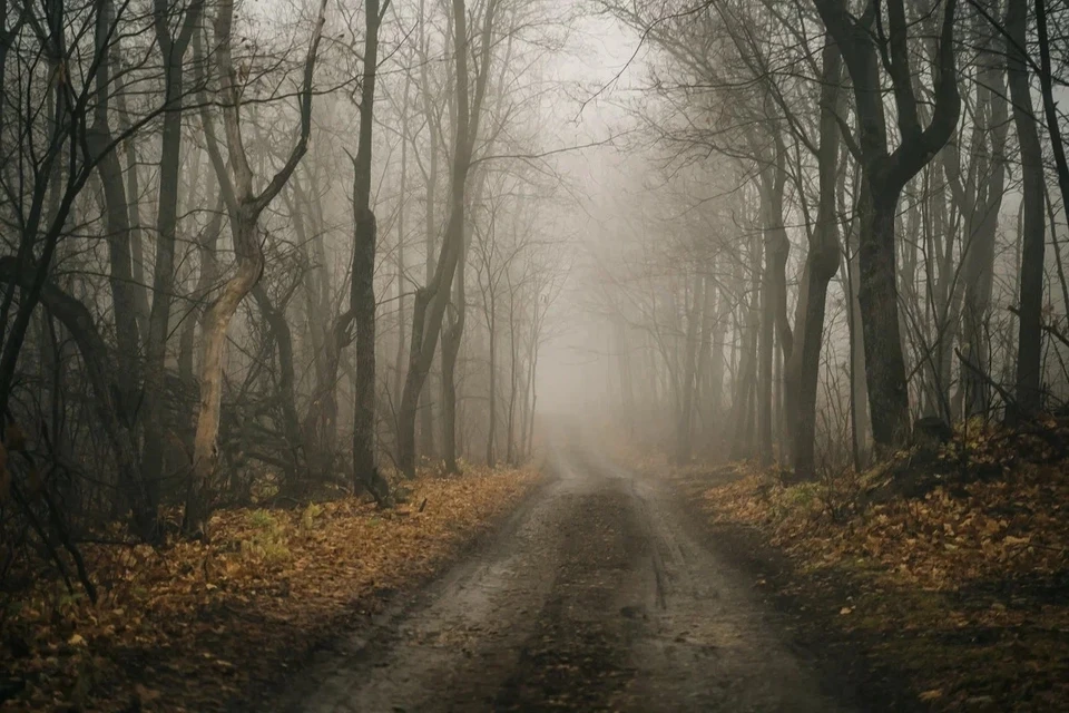 Регион накроет туман