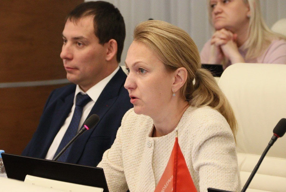 Состоялось заседание фракции «Справедливая Россия» в Законодательном собрании Пермского края.