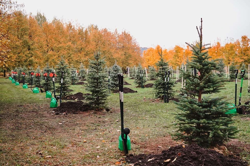 Общегородской субботник посетили более 170 тысяч горожан. Фото: Александр Беглов/ВК