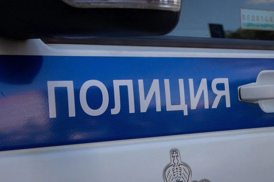 Фото: УМВД по Вологодской области.