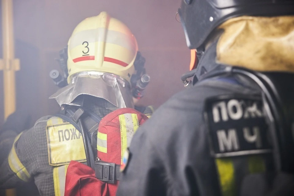 Кошка погибла при пожаре в жилом доме в Хабаровском крае