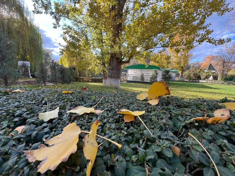 Местами возможны ливни и грозы