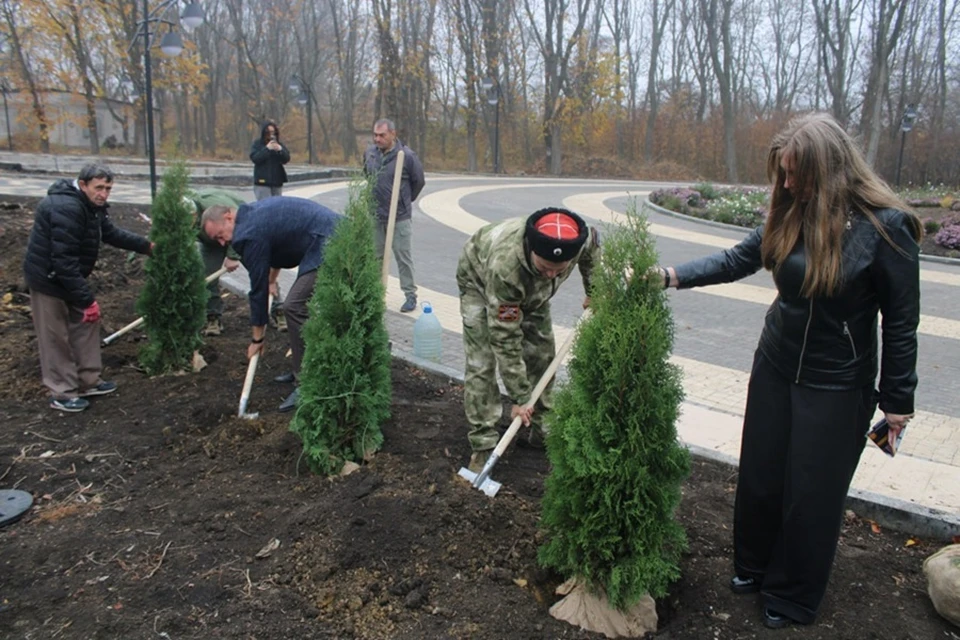 В рамках акции «Аллея Единства» в Горловке высадили туи. Фото: Администрация Горловки