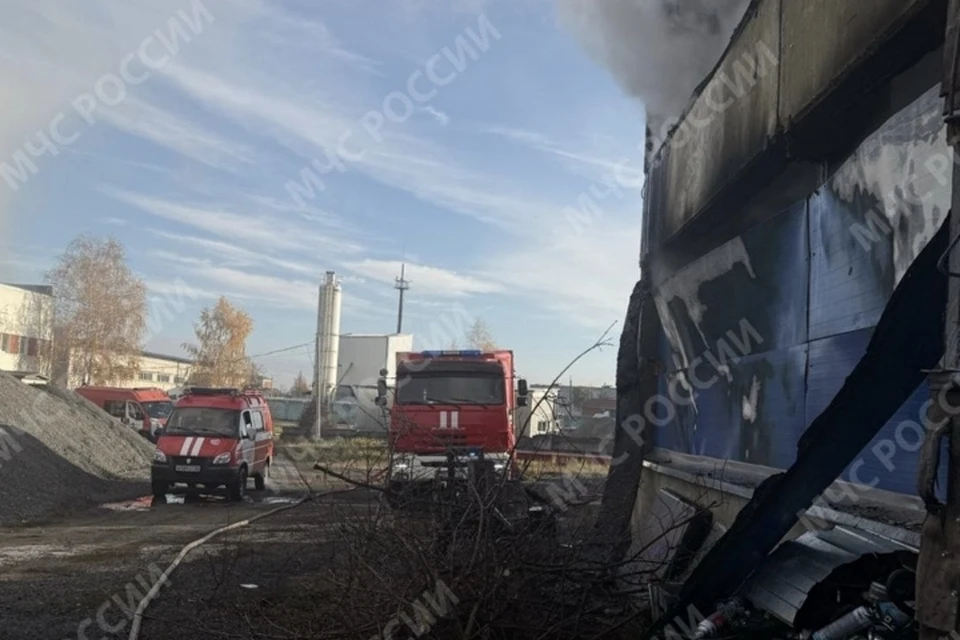 Фото: пресс-служба ГУ МЧС России по Брянской области.