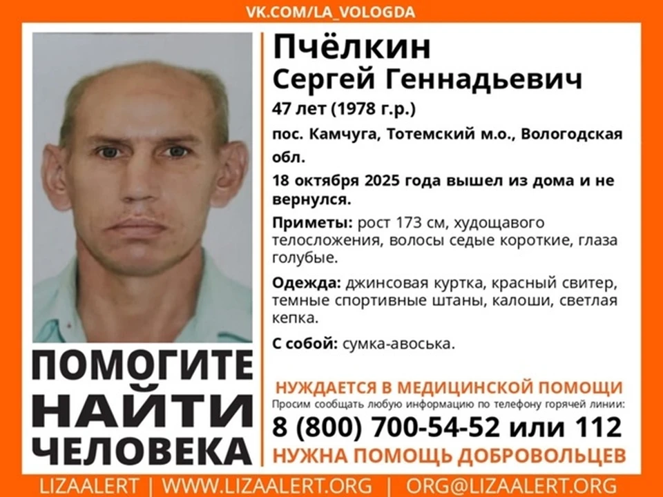 ПСО "Лиза Алерт".