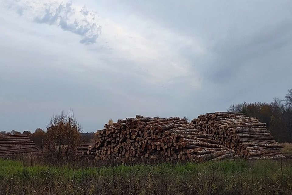 Нарушения устранены.