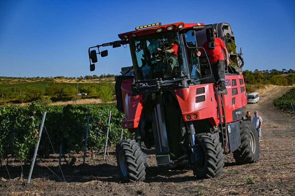 Фото: пресс-служба правительства Севастополя