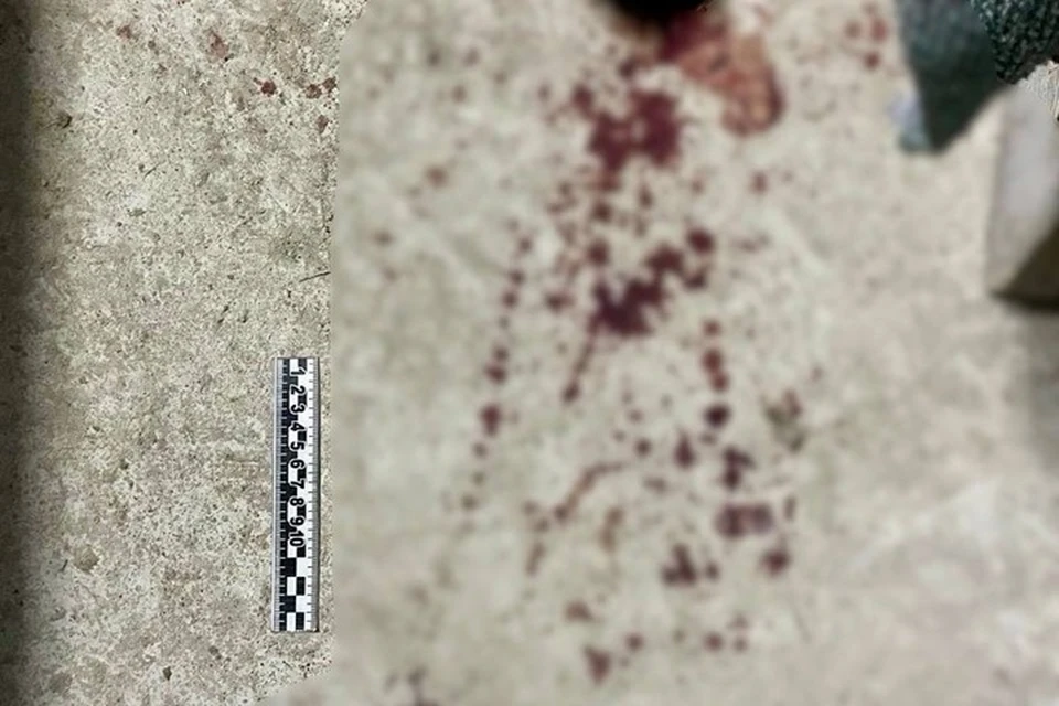 Житель Якутска предстанет перед судом за убийство знакомого. Фото: СУ СК России по Якутии