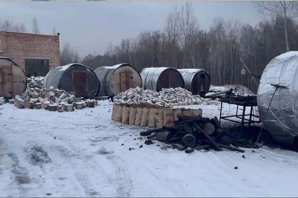 «Черные лесорубы» из Новосибирской области вырубили деревьев на 19 млн рублей. Фото: УФСБ по НСО