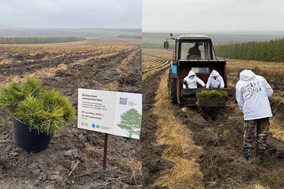 Фото: МинИнформ 64 Z