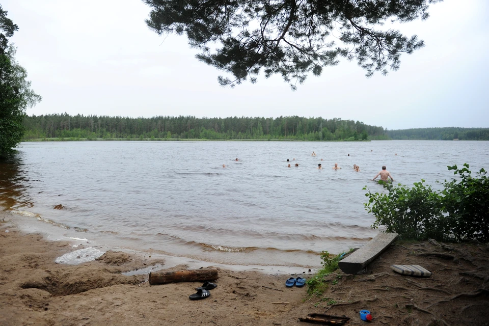 Павильон автомойки построили непосредственно в границах водоохранной зоны.