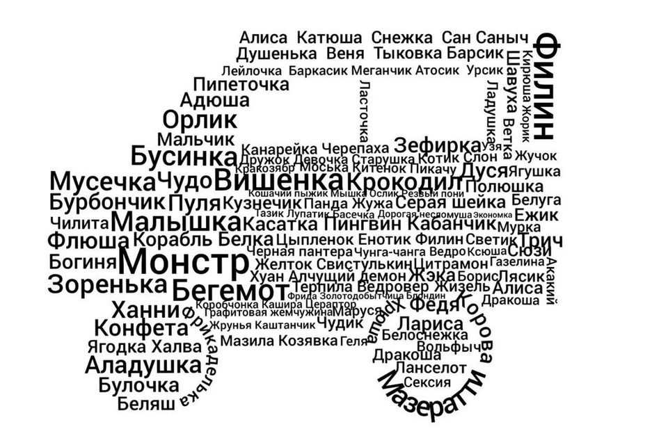 Фото предоставлено ГПМ-радио.