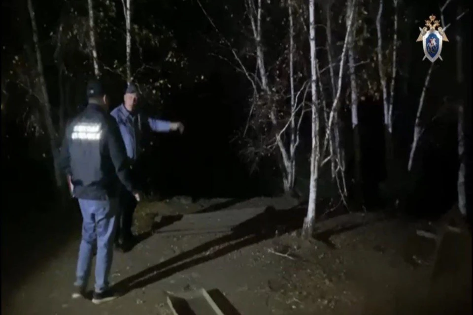 В Забайкалье СК расследует уголовное дело по факту гибели работника зоопитомника