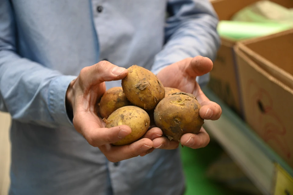 Картошка, пожалуй, самый наш любимый продукт, не зря её вторым хлебом кличут.