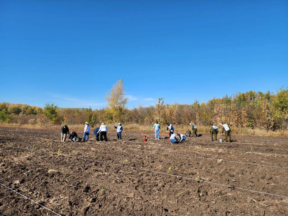 Фото: правительство Оренбургской области.