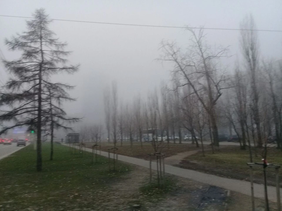 Ночью в отдельных муниципалитетах прогнозируют туман.