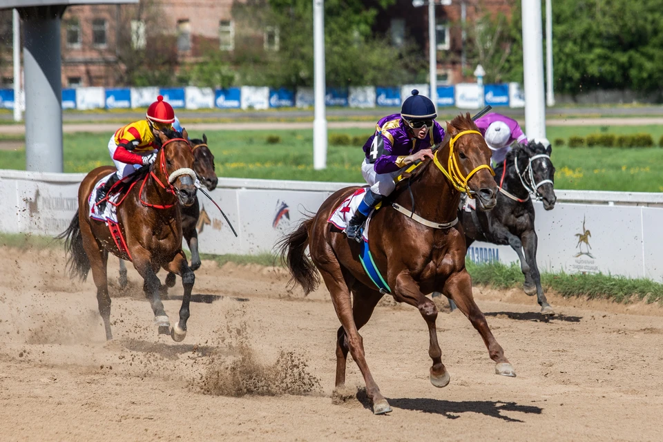 Вопрос об организации конно-спортивных мероприятий будет обсуждаться дополнительно.