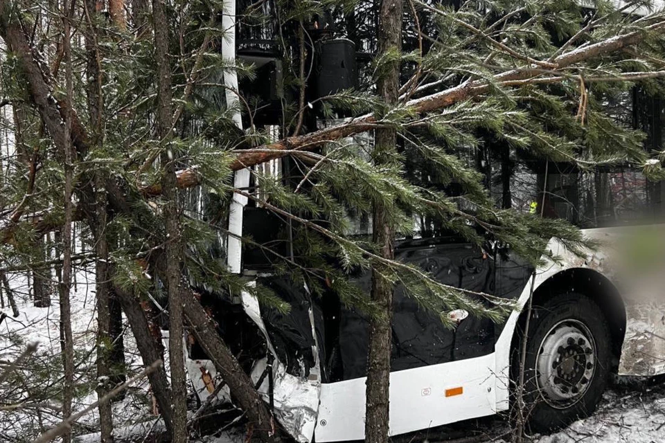В Усть-Илимске четыре пассажира пострадали в аварии с двумя автобусами и внедорожником