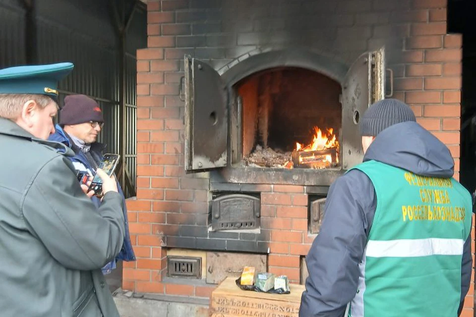 Фото: Уральское управление Россельхознадзора