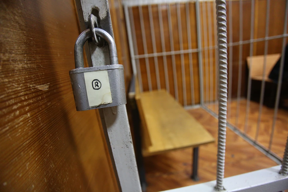 Мужчине грозит до шести лет лишения свободы.