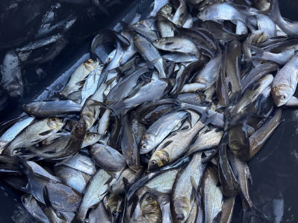 Фото: Оренбургский филиал «Т Плюс»