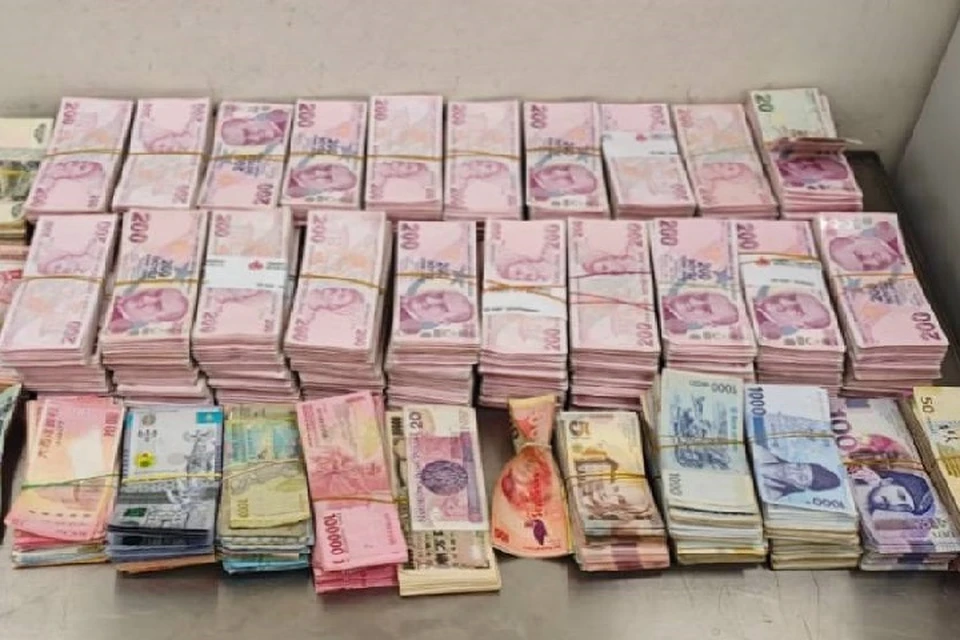 В багаже гражданина России были обнаружены купюры более семи государств. Фото: ФТС РФ