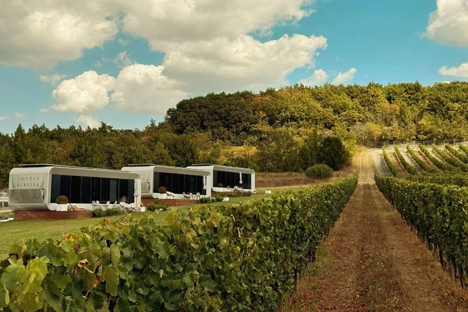 Фото предоставлено отделом маркетинга винодельни Бюрнье