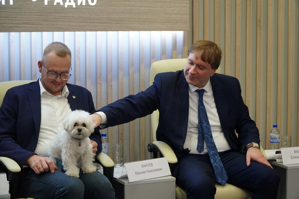 Символами проекта стали еж Соник и мальтипу Ричард / Фото: Единая Россия