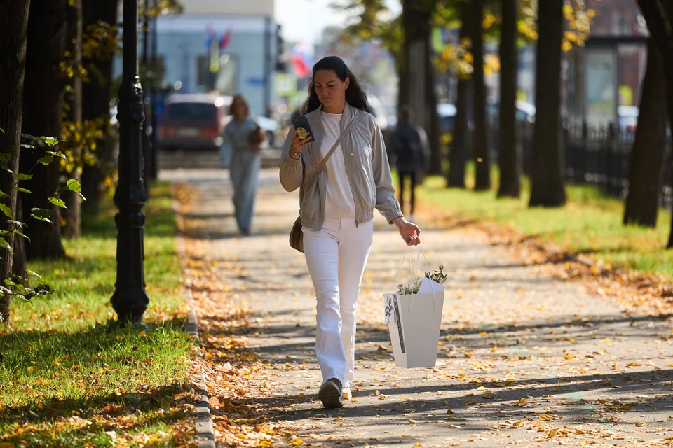 Ограничения не связаны с блокировкой мессенджеров.