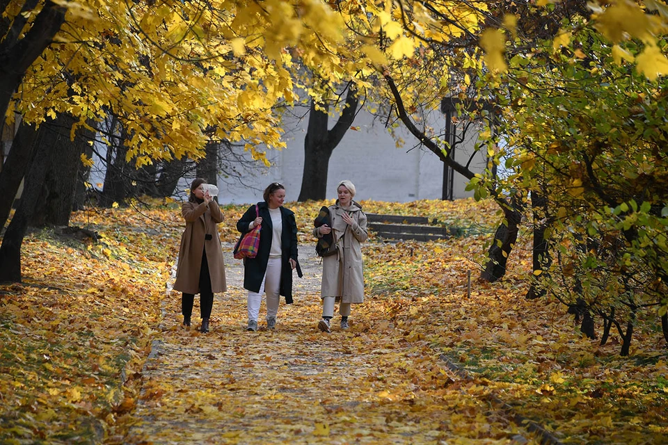 Гидрометцентр пообещал аномальное потепление к 4 ноября в Москве