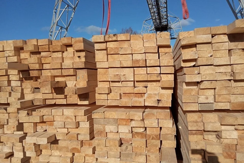 Экспорт пиломатериалов из Свердловской области во Вьетнам прошел фитосанитарный контроль. Фото: пресс-служба ведомства