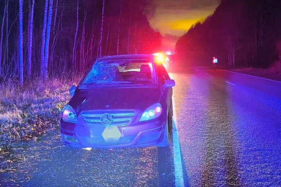 Жителей призывают двигаться по тротуарам и пешеходным дорожкам, а также использовать световозвращающие элементы на одежде. Фото: Госавтоинспекция Удмуртии