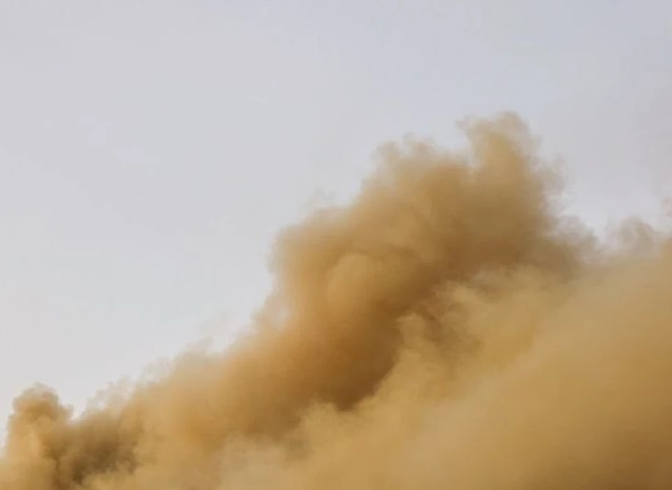 Фото: ГУ МЧС России по Омской области