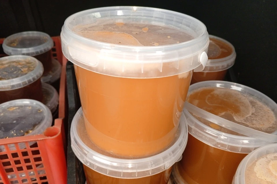 Россельхознадзор не пропустил в РФ партию меда из Беларуси. Фото: 178.fsvps.gov.ru