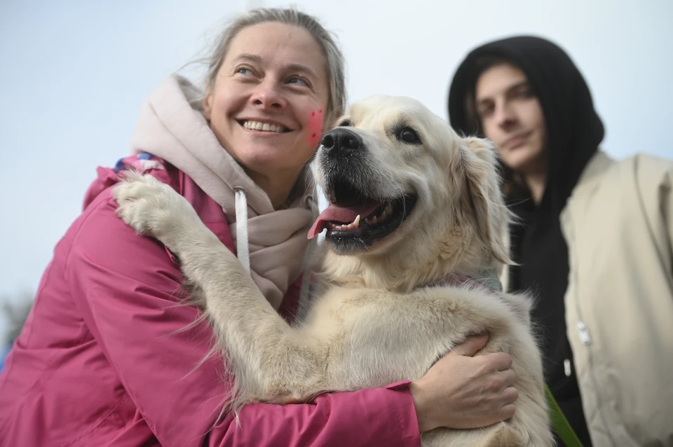 За все годы существования проекта новый дом нашли более 1400 животных