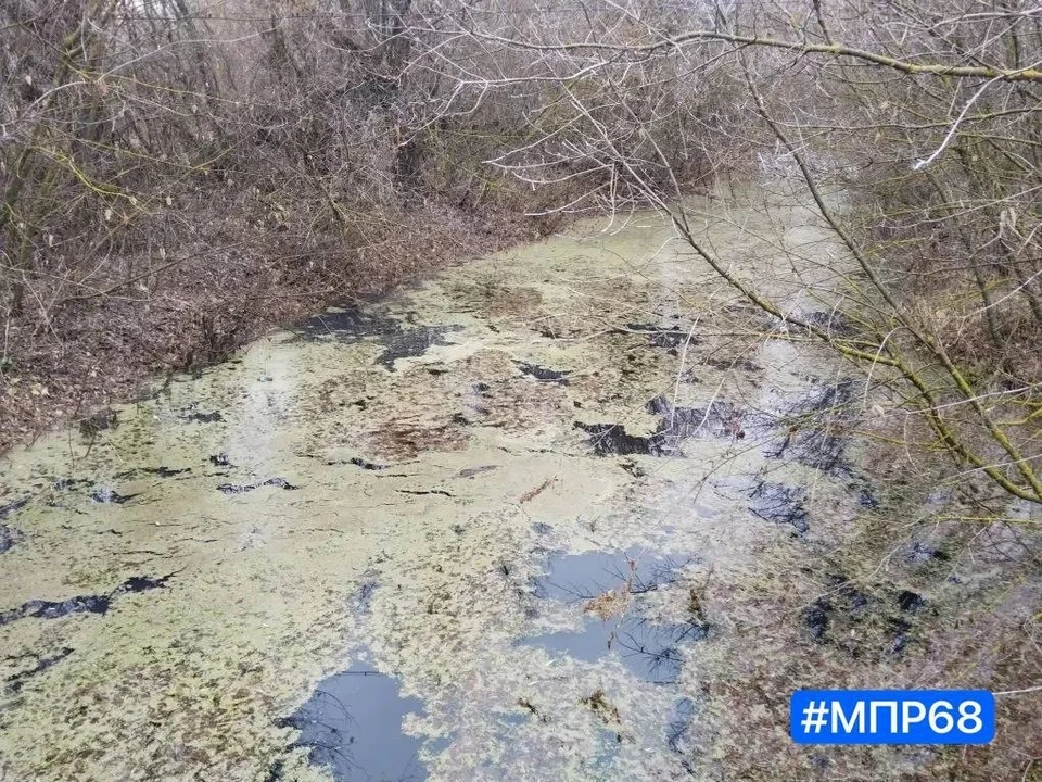 Из реки взяли пробы воды и отправили их на анализ