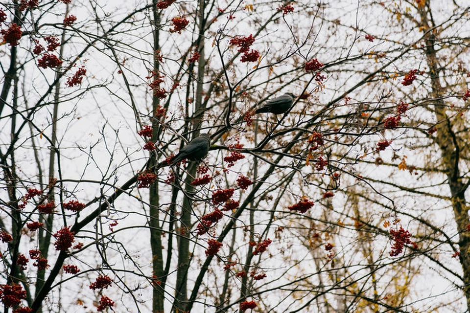 Хорошего дня!